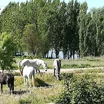 Сasa de vacaciones La Casa Del Duero Tordesillas