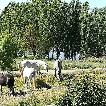 Сasa de vacaciones La Casa Del Duero Tordesillas