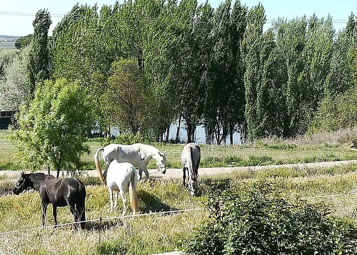 Hébergement de vacances La Casa Del Duero Tordesillas